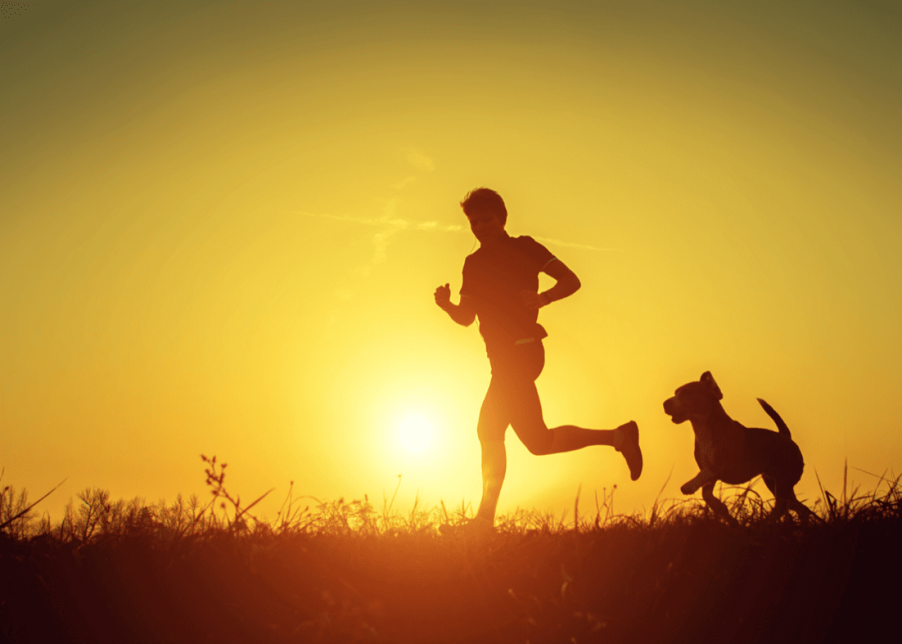 Paws and play: 5 great ways to stay active with your dog this summer