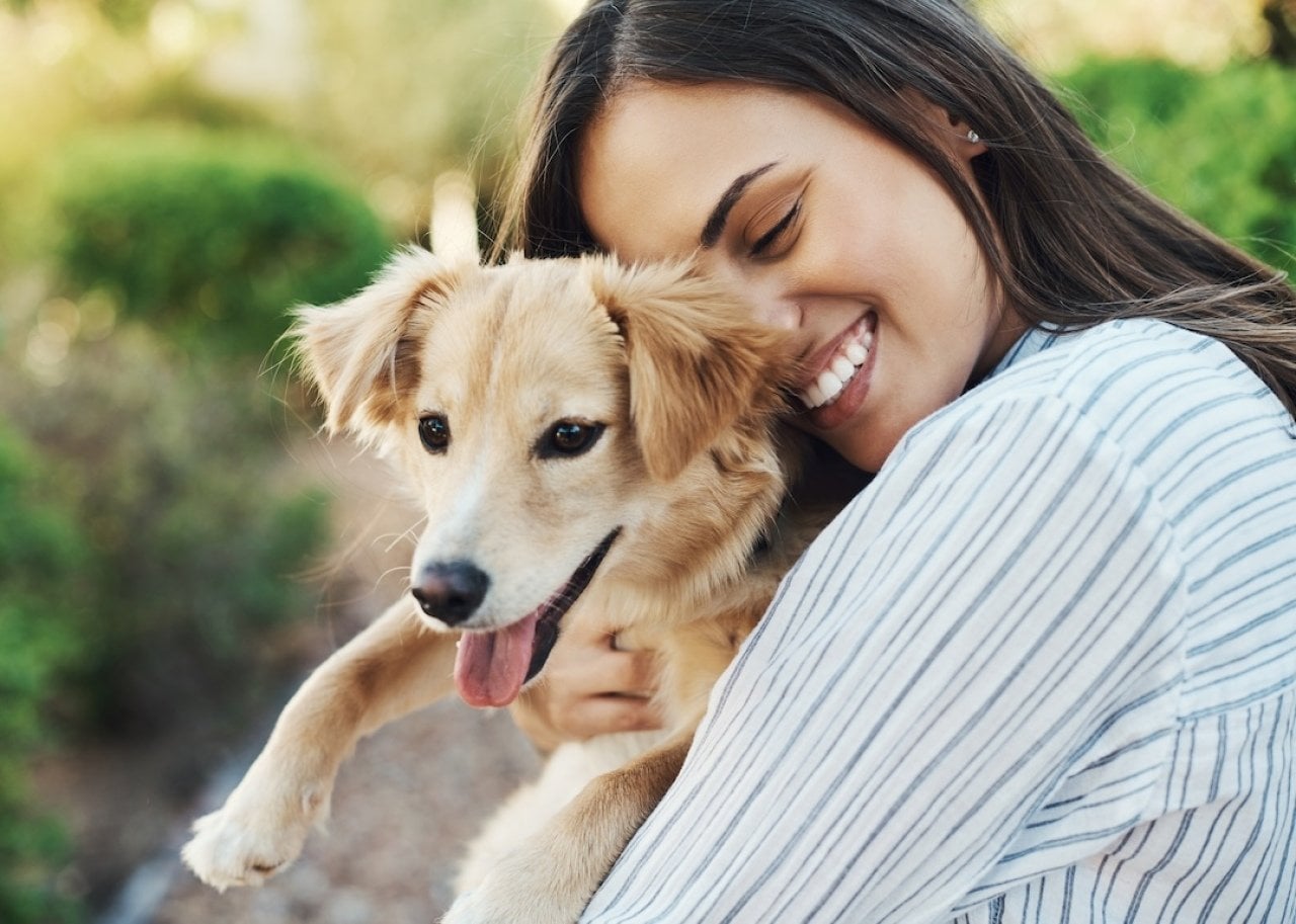 Americans prefer dogs to cats as pets by a wide margin, according to the data